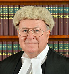 The Honourable Mr Justice Michael Lunn, GBS